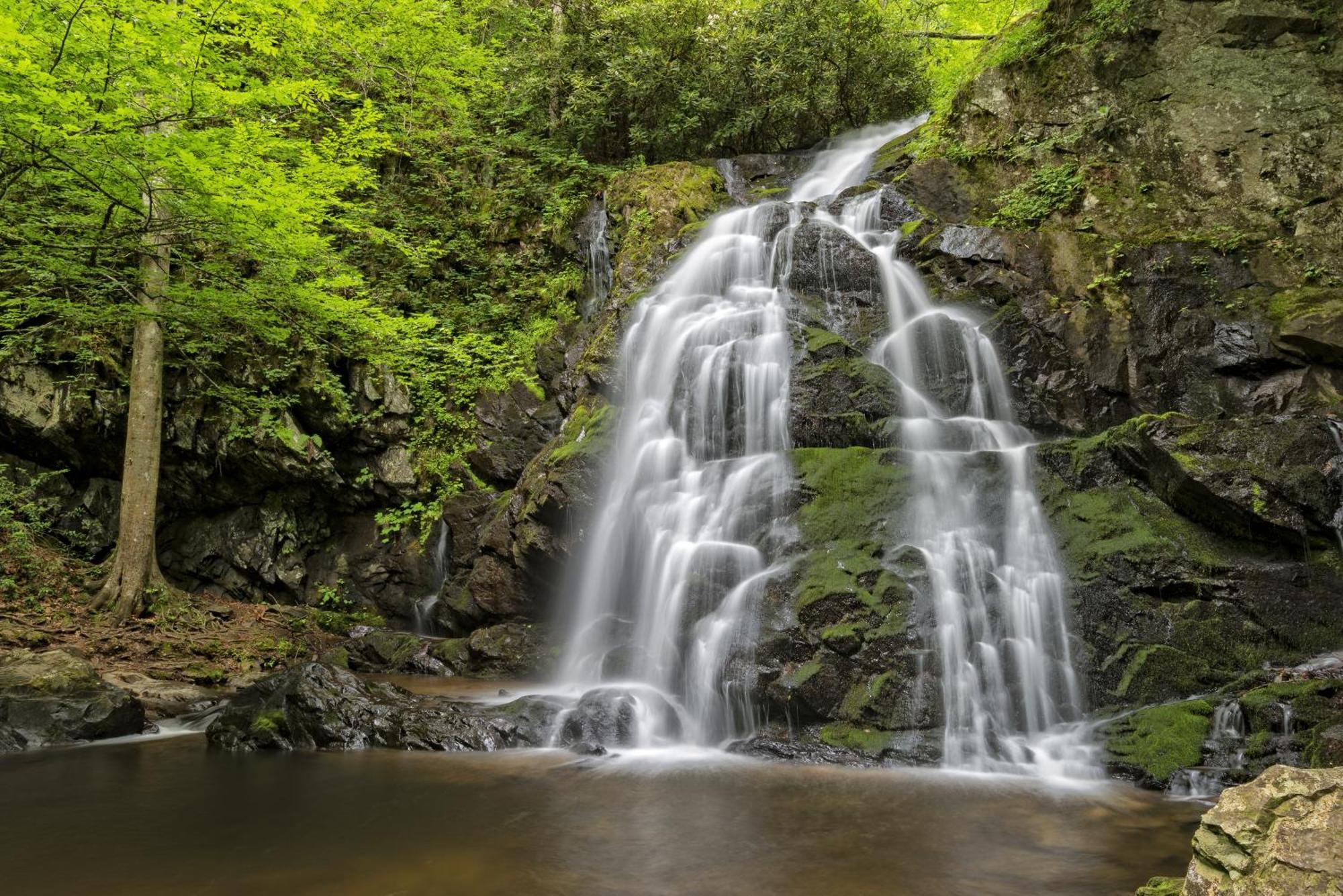Hidden Creek, Pool Table, Hot Tub, 1089 Free Tickets Each Paid Day, Dollywood And More Gatlinburg Extérieur photo